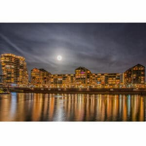 Goudkust Nimma