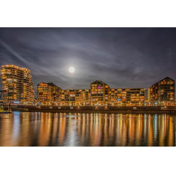 Goudkust Nimma