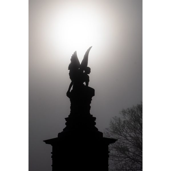 Engeltje in de mist