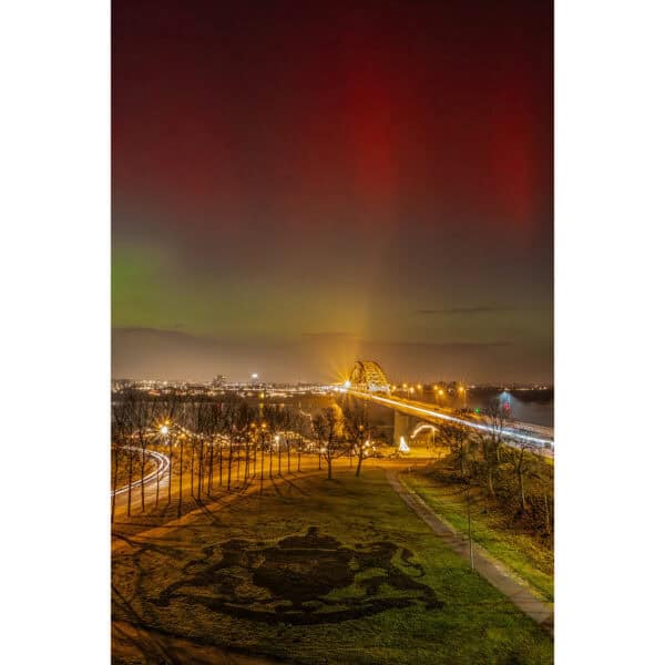 Aurora Nimma
